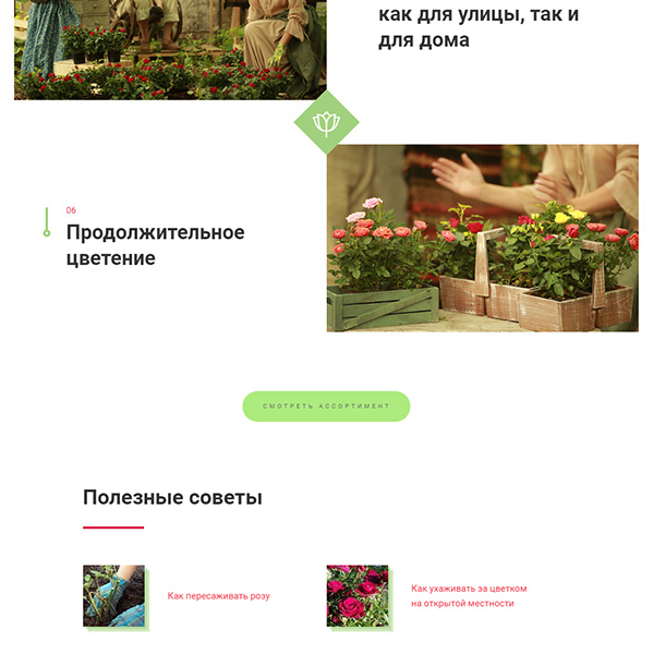 сайт первого в россии производителя известного мирового бренда горшечной розы «kordana»